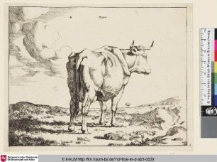 [Autre vache debout, vue presque par derriére, et dirigée vers la droite; Stehende Kuhin Rückansicht nach recht gewandt über ihr ein Vogel]