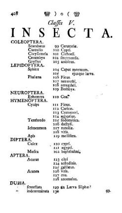 Classis V. Insecta