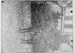 Reiter auf Pferd in Uniform des Stahlhelm, im Hintergrund Prinzenbau von hinten