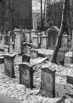 Alter jüdischer Friedhof : Dresden-Neustadt, Alter Jüdischer Friedhof, Blick nach Westen im Winter