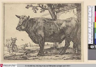 [Stehender Bulle vor einem Podest; The Bull]