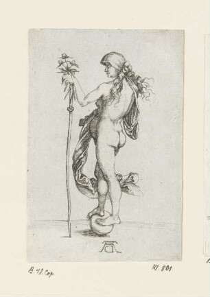 Fortuna (Das kleine Glück)