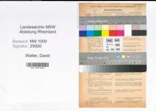 Entnazifizierung David Walter, geb. 01.06.1894 (Verw.Inspektor)