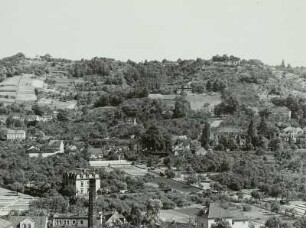 Radebeul-Ost: Blick nach dem Lössnitzhang mit Weinbergen. Oben Gaststätte "Wilhemsburg"