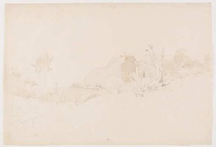 Landschaft mit Agaven