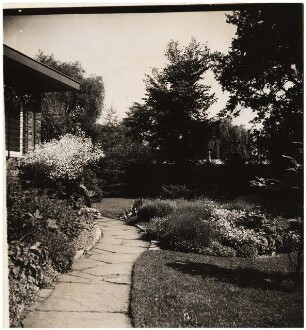 Garten Niemczyk, Potsdam-Nedlitz: Weg am Haus mit Crambe