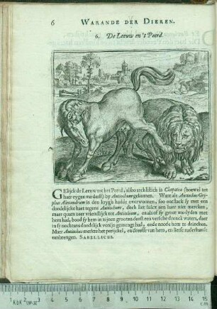 6. De Leeuw en 't Peerd.