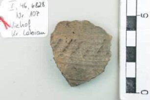 Gefäßfragment