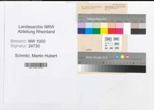 Entnazifizierung Martin Hubert Schmitz, geb. 20.07.1901 (Lehrer)