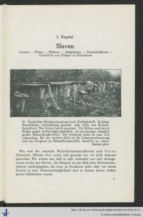 5. Kapitel. Slaven.