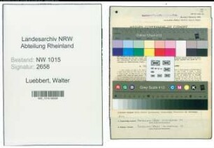 Entnazifizierung Walter Luebbert , geb. 17.10.1899 (Stadtoberinspektor)