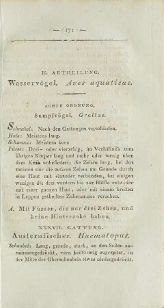 Achte Ordnung. Sumpfvögel. Grallae