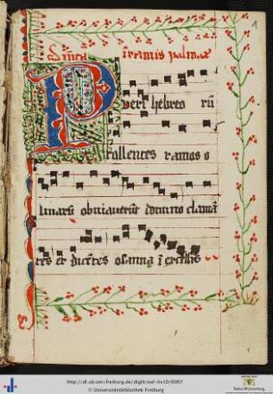 "Dominica in ramis palmarum".