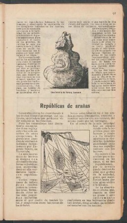 Repúblicas de arañas