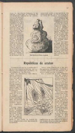 Repúblicas de arañas