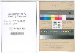 Entnazifizierung Wilhelm Karl Hild , geb. 08.08.1910 (Kaufmann)