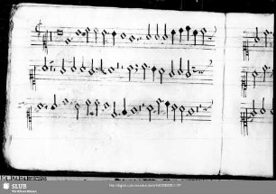 Adrian Willaert: Petite camusete