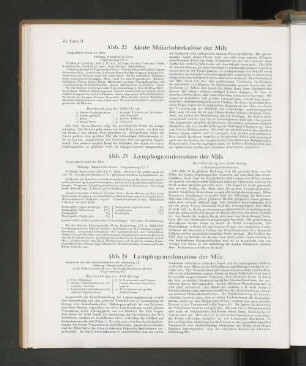 Abb. 22 Akute Miliartuberkulose der Milz
