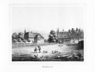 Biehla
