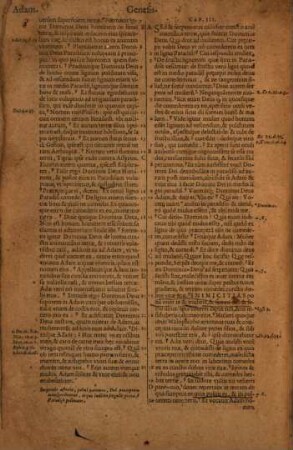 Biblia : ad vetustissima exemplaria nunc recens castigata