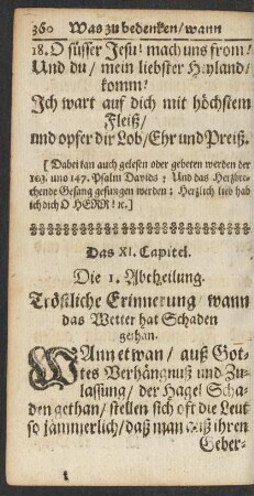 Das XI. [i.e. IX.] Capitel.