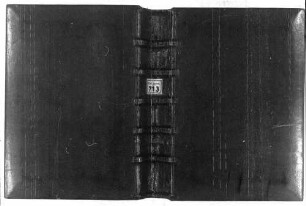 Priamelsammlungen. Sprüche. Mären. Minnereden u.a. Hans Rosenplüt - BSB Cgm 713