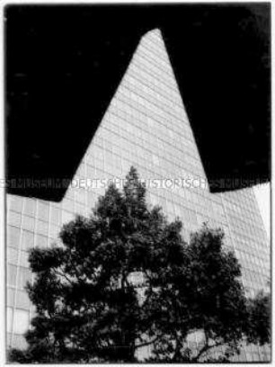 Baum vor Architektur (Altersgruppe 14-17)