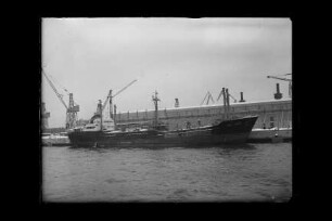 Emily Sauber (1957), Sauber, Hamburg