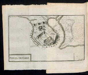 Ponta de Gale