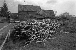 In Bielinok/Odra (oder Ognica?)