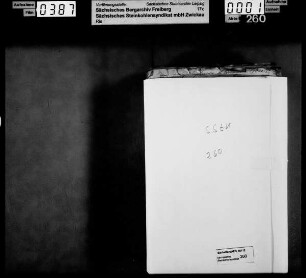 Förderungs- und Absatzverhältnisse bei den einzelnen Gesellschaften