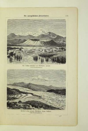 Treibeis eines polaren Gletschers, sogen. Kalbeis