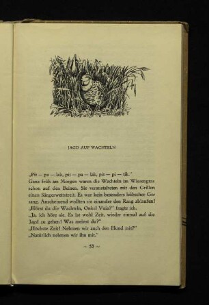 Jagd auf Wachteln