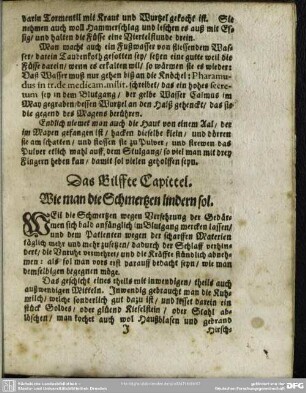 Das Eilffte Capittel. Wie man die Schmertzen lindern sol