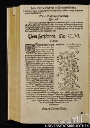 Cap. CLVI. Vom Herzsamen.