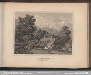 BAUERNHAUS in Wilderswyl