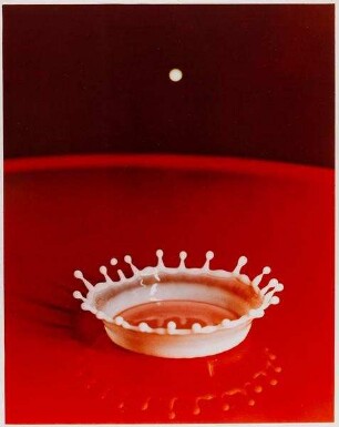 "Splash of a Milk Drop" aus dem Portfolio "Seeing the Unseen"
