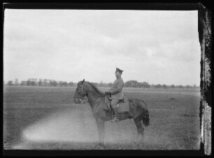 Oberleutnant Knorr zu Pferd auf einer Wiese