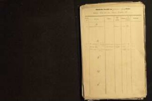 Namensverzeichnis Geburtsregister Lüerdissen (Amt Brake IX) 1876-1907