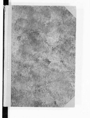 Alphabetisches Namenverzeichnis zum Geburtsregister Bautzen (Abschrift)
