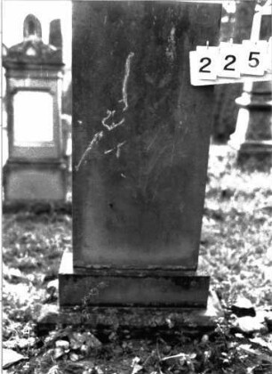 Grabstein 2252 (Index: 100097340) Maße HxBxT: 126x50x14 cm: Grabstein 2252