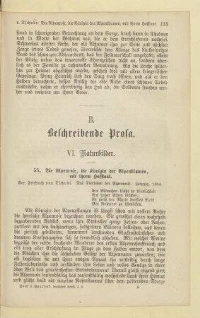 VI. Naturbilder