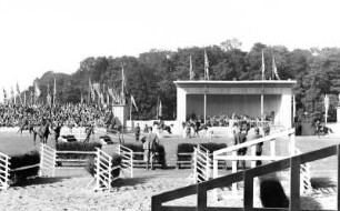 Reitturnier auf der Reichsnährstandausstellung 1939 : Ein Reitturnier auf dem Großen Ring im Rahmen der 5. Reichsnährstand-Ausstellung 1939 in Leipzig.