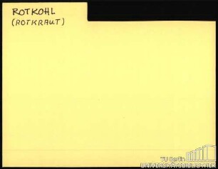 ROTKOHL/ROTKRAUT: Allgemein