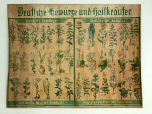 Deutsche Gewürze und Heilkräuter