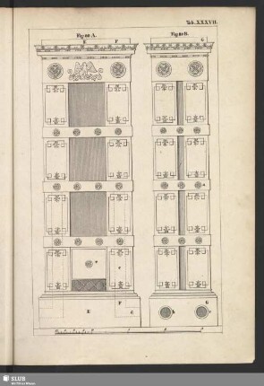 Tab. XXXVII