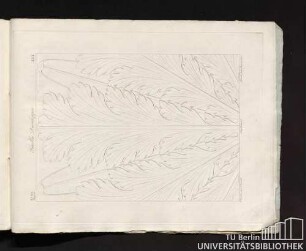 XXX. Rome. Uggeri. Feuille Developpée. Dessiné par Pesenti, Supplement, Gravé par Acquaroni.