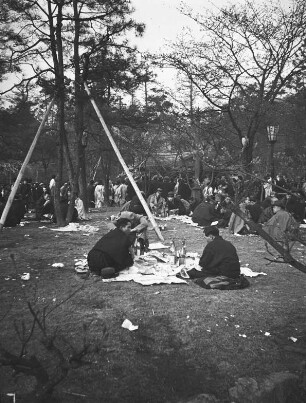 Kyoto. Blütenfest (wahrscheinlich im Februar zur Pflaumenblüte auf dem Gelände des Kitano Tenmangū Schreins im Norden der Stadt). Besucher beim Picknick