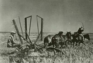 Russland, (ehem. Kabardinische SSR), Getreideernte mit Mähmaaschine