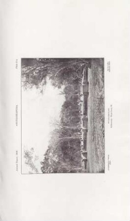 Plate D*. Anurádhapura. Puliyankulama. Refectory: View from W.